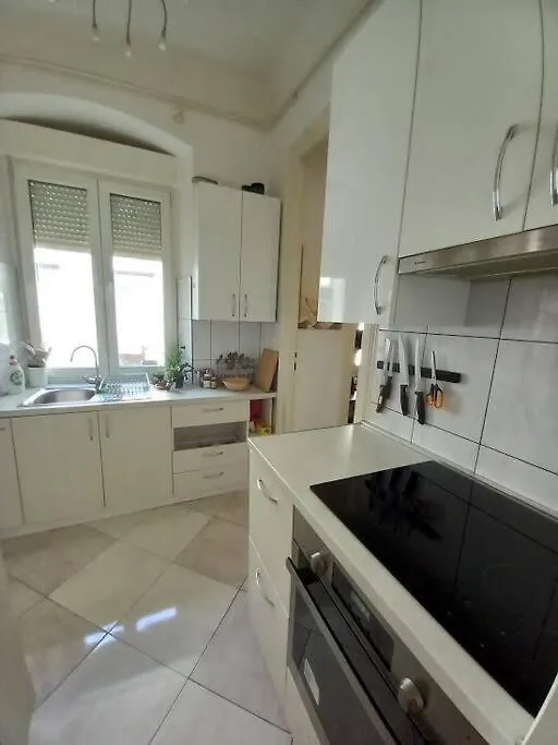 Comfy Apartment In Rijeka Center